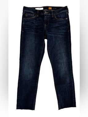 Anthropologie Pilcro and the Letterpress Stet Jeans Women's Size 28 Straight Leg